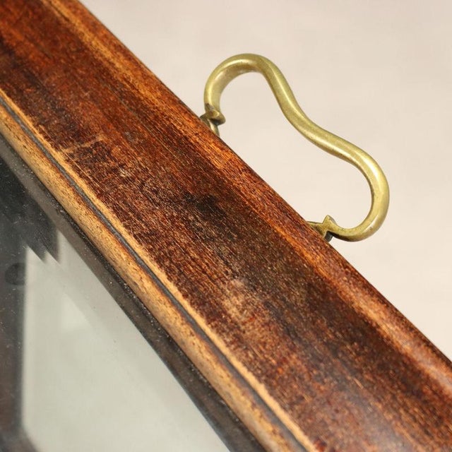 19th Century Walnut Display Table, Italy For Sale - Image 6 of 12