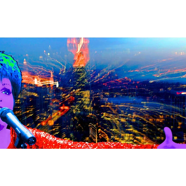 Francis Apesteguy, Liza Minelli, 2007, Digital Print For Sale - Image 4 of 5