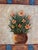 Original Floral Oil Painting “Golden Bloom” by Alena Kalen Framed Textured, Coa For Sale - Image 11 of 13
