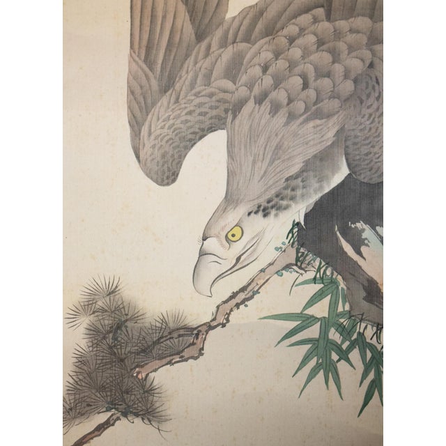 "Eagle" by Imao Keinen, Meiji to Taisho Era Japanese Silk Scroll Painting For Sale - Image 10 of 18