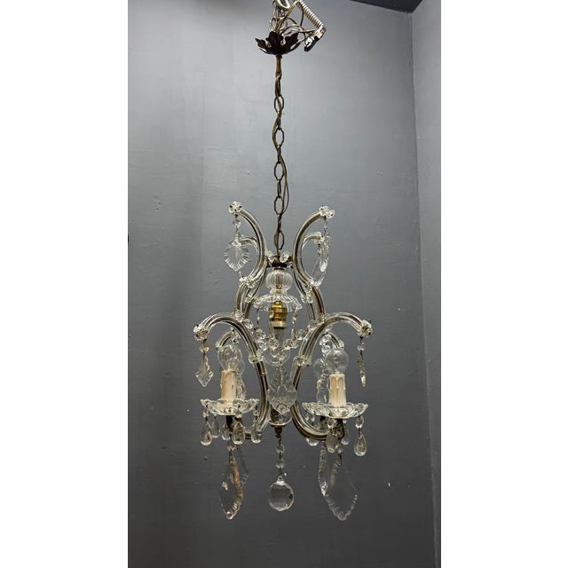 Italian Crystal and Murano Glass Chandelier, 1950s For Sale - Image 3 of 14