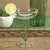 Elevate your cocktail experience with the Climbing Cacti Tequila Cocktail Glasses. Featuring a classic clear-finish coupe...