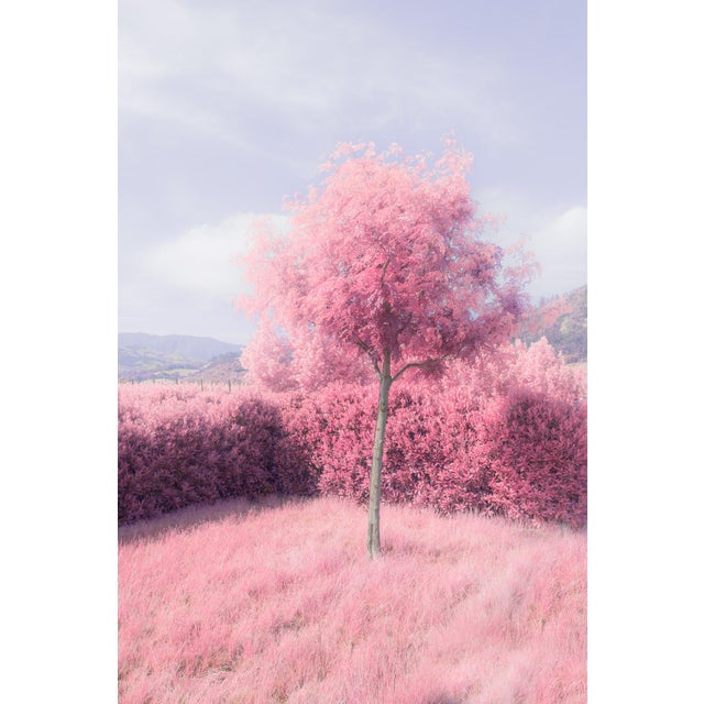 Contemporary Pink Tree - Framed Original Fine Art For Sale - Image 3 of 4
