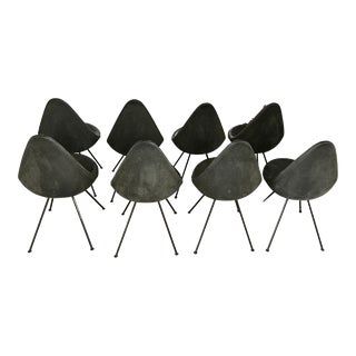 1960s Arne Jacobsen Drop Chair by Oliver Gustav for Fritz Hansen - Set of 8 For Sale