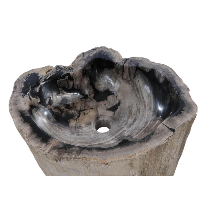 Contemporary Petrified Wood Stand Alone Wash Basin by Xyleia Petrfied Wood For Sale - Image 3 of 9