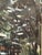 Ingvar Walterström, Forest Road III, 1960s, Oil on Canvas, Framed For Sale - Image 9 of 18