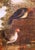 18th Century French Provincial Farmyard Painting With Roosters and Hens For Sale - Image 4 of 9
