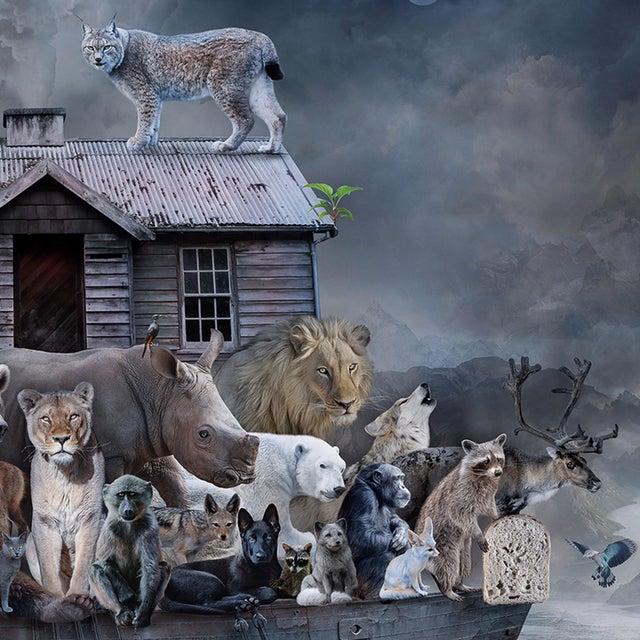 This photographic work presents a surreal scene of a weathered boat overloaded with a diverse array of animals, all...