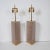 Pair of smoked acrylic lamps with ring motif and brass hardware.