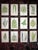 Antique 19th Century Botanical Fern Wood Engravings - Set of 12 For Sale - Image 9 of 9