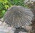 Mid 19th Century 19th Century Venetian Gilded, Carved Wood Grotto Style Table For Sale - Image 5 of 10