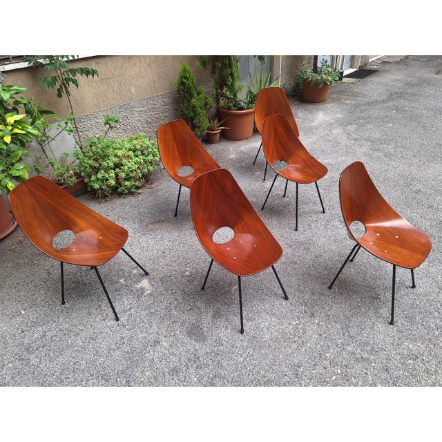 Chairs by Vittorio Nobili for Medea, 1950s, Set of 6 For Sale - Image 11 of 14