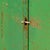 Vintage Industrial Cabinet in Iron, 1970s For Sale - Image 10 of 16