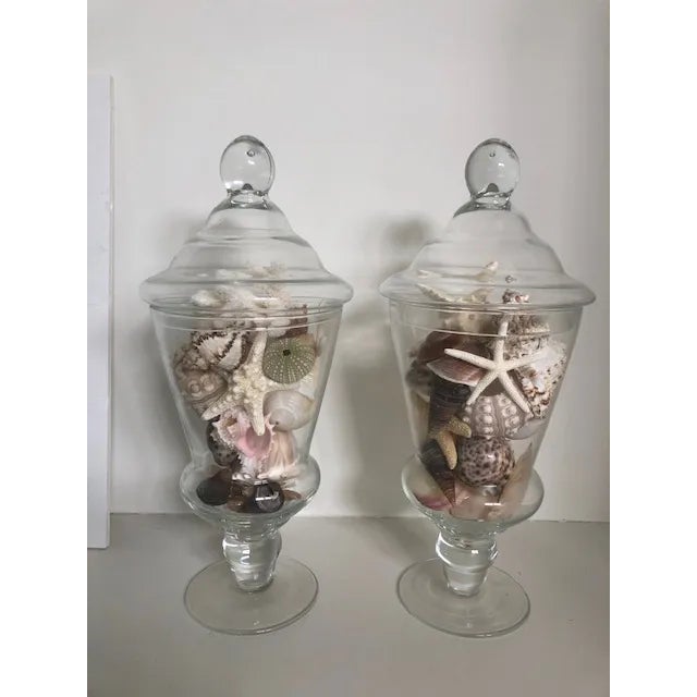 Glass Handblown Gllass Apothecary Shell Jars For Sale - Image 7 of 7