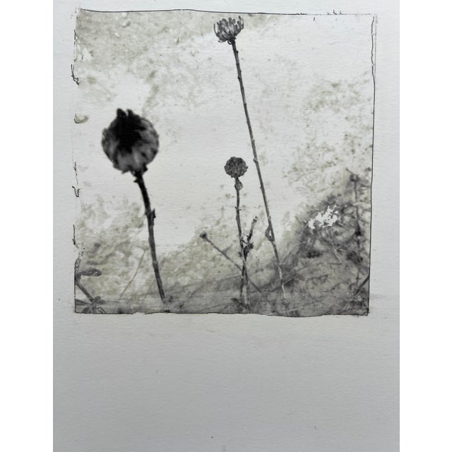 This is a photograph of mine, taken in a field near me. This is a photograph called a digital image transfer. An acrylic...