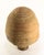 Spanish Colonial Redware Terracotta Amphorae Jar for Fine Wines For Sale - Image 17 of 18