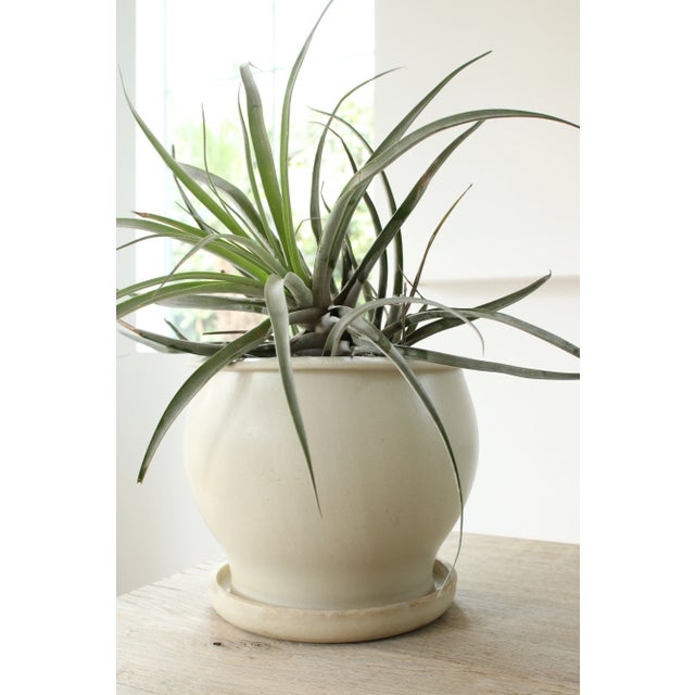 9" Mid-Century Pottery Planter W/Attached Saucer For Sale - Image 4 of 6