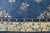 Chinoiserie Antique Chinese Peking Rug - 04'01 x 06'09 For Sale - Image 3 of 6
