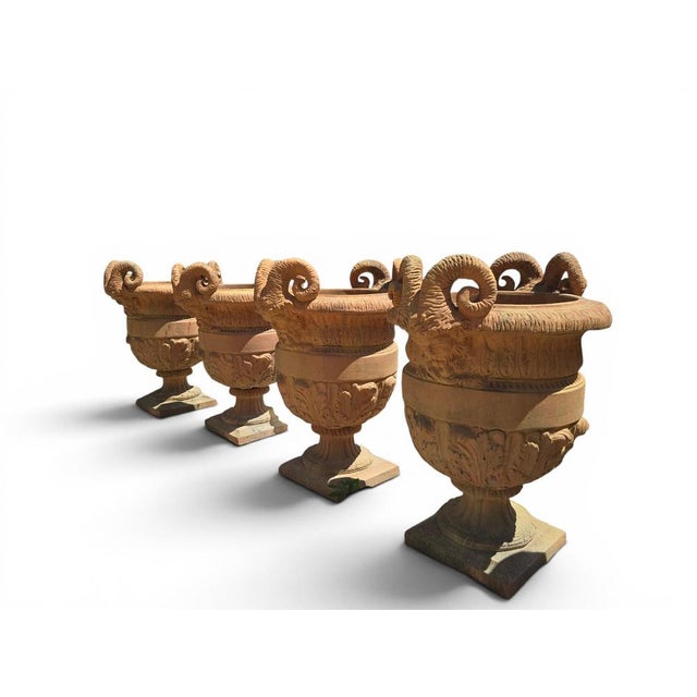 Impruneta Terracotta Urns with Faun Heads and Acanthus Leaves, Italy, 1950, Set of 4 For Sale - Image 8 of 9
