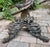 19th Century Venetian Gilded, Carved Wood Grotto Style Table For Sale - Image 12 of 12