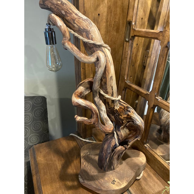 This unique table lamp is created from a piece of cottonwood root that I found near an abandoned beaver dam here in...