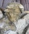 19th Century Antique 19th Century French Architectural Fragment For Sale - Image 5 of 13
