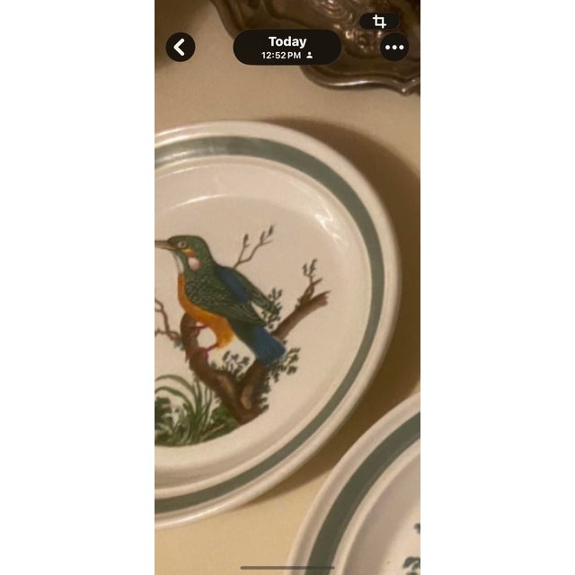 Collectible vintage Portmeirion Birds of Britain bread and butter plate featuring the striking Kingfisher, beautifully...