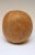 Leather medicine ball, circa 1940s, Germany. Perfectly aged patina with natural wear/soiling present, as shown. H: 13" x...