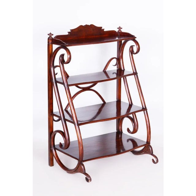 Biedermeier Shelf in Beech & Walnut attributed to Thonet, Austria, Vienna, 1910s For Sale - Image 9 of 9