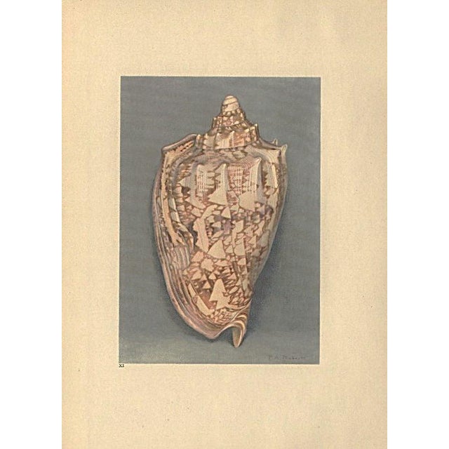 This is a set of 3 French lithographs that date to 1935. They are colored book plates of watercolors done by Paul A...