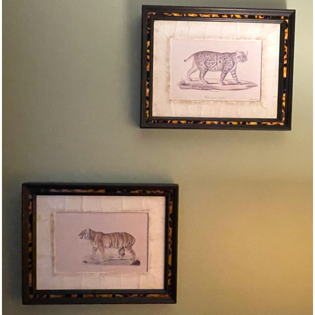 Luxury pair of framed natural history prints. Made by high-end designer brand John-Richard. This listing includes print...