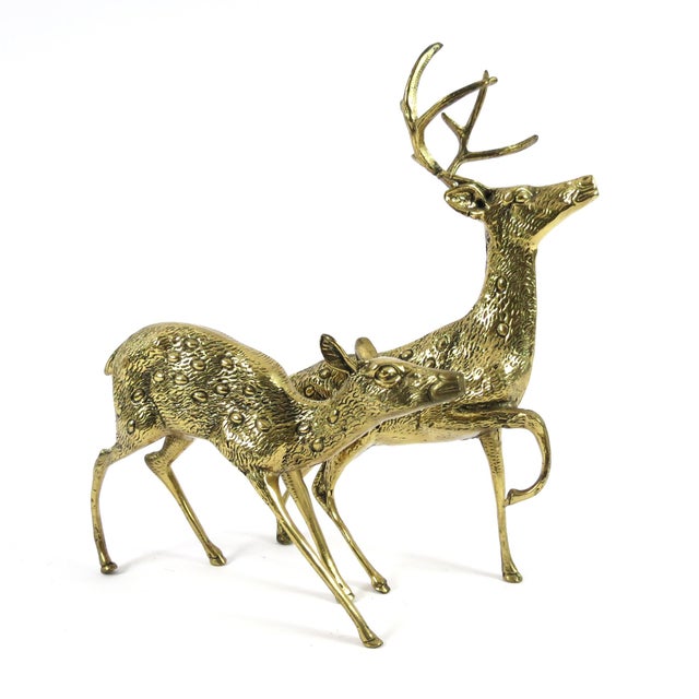 These deers are made of brass following a very realistic design. Hardly any wear is present, they are in very good...