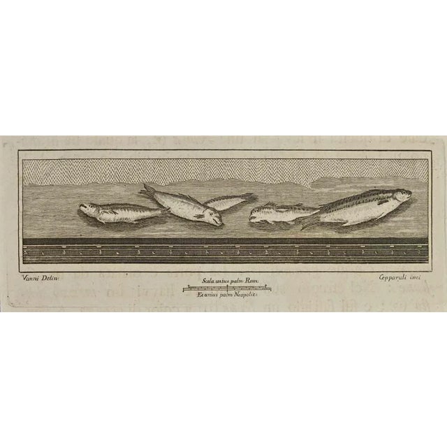 Ancient roman fresco from the series "antiquities of herculaneum", is an etching on paper realized by francesco cepparoli...