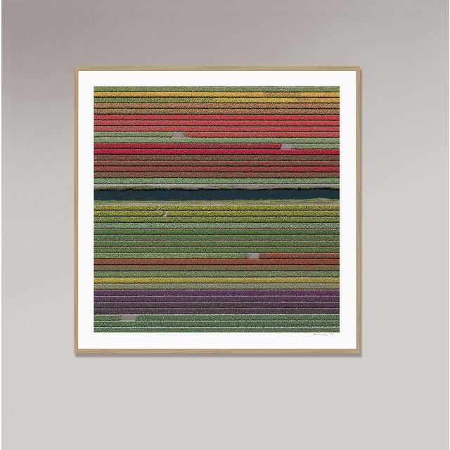 Red "AV_Tulip_Fields_037" Contemporary Aerial View Limited Edition Photograph by Bernhard Lang For Sale - Image 8 of 12