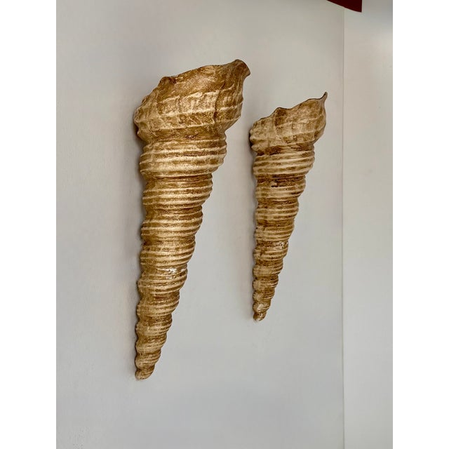 Vintage Shell Wall Sconces in Beige Fiberglass, France, 1960, Set of 2 For Sale - Image 9 of 10