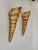 Vintage Shell Wall Sconces in Beige Fiberglass, France, 1960, Set of 2 For Sale - Image 9 of 10