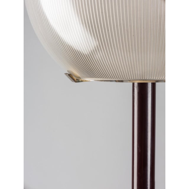The tle8 model, presented here, is part of a series of floor lamps designed by ignazio gardella in the second half of the...