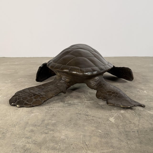 Large Bronze Sea Turtle Sculpture – 26” L For Sale - Image 14 of 14