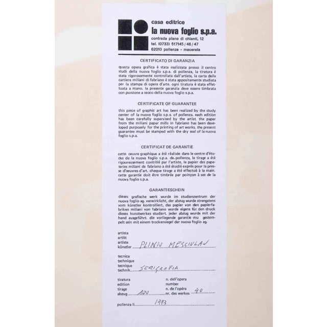 Plinio Mesciulam, Abstract Composition, Original Screen Print, 1973 For Sale - Image 3 of 4