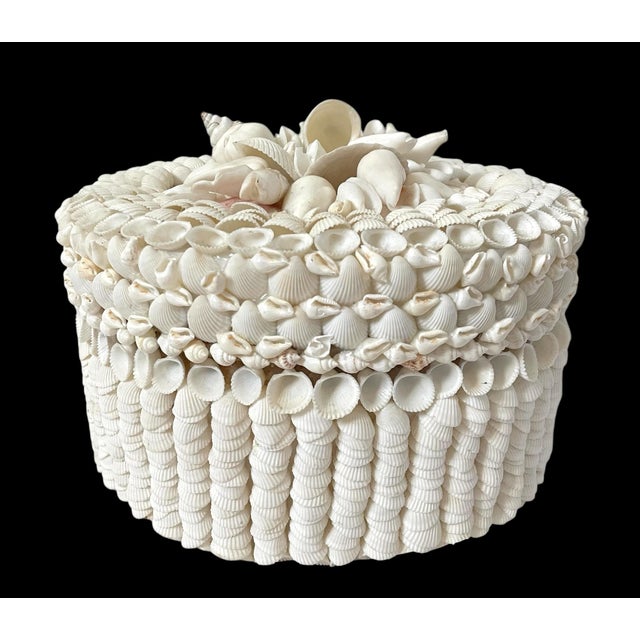 Shell Nautical Round Trinket Decorative Box Large With Lid. 10” Philippines For Sale - Image 4 of 10