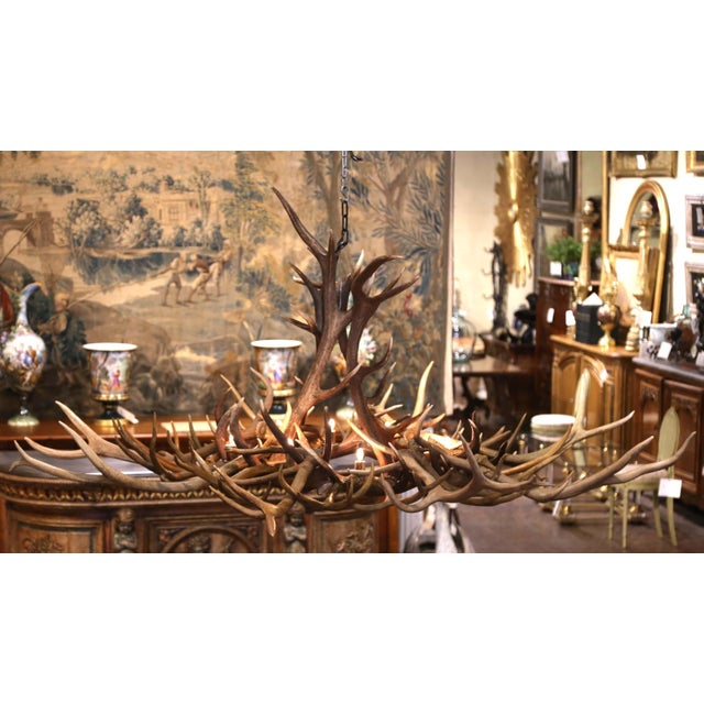 American Vintage American Black Forest Style Elk and Deer Antler Ten-Light Chandelier For Sale - Image 3 of 7