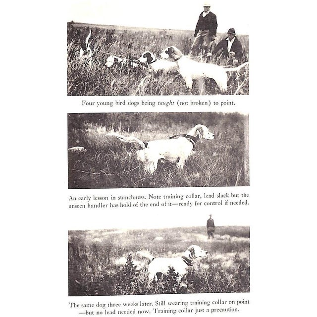 "Point! A Book About Bird Dogs" 1941 Lytle, Horace For Sale - Image 4 of 5