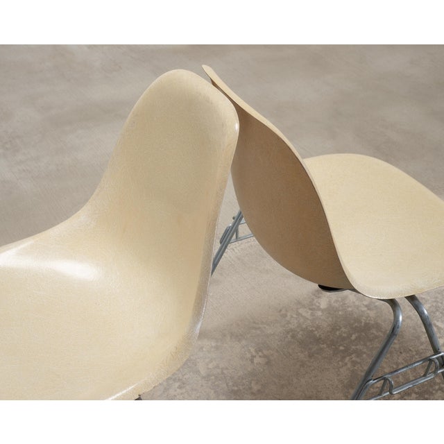 Mid 20th Century Set of Four Herman Miller DSS Mid-Century Fiberglass Side Chairs For Sale - Image 5 of 18