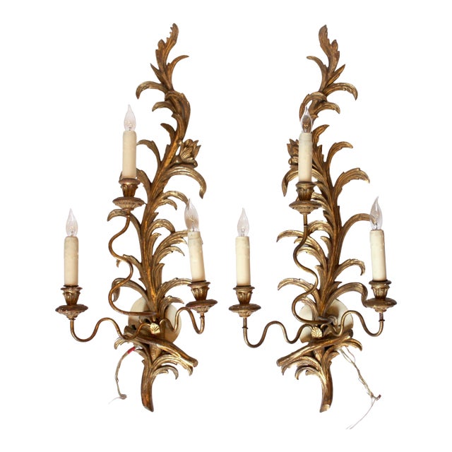 Mid-20th Century Pair of Likely-Italian Gilt Wood Wall Sconces For Sale