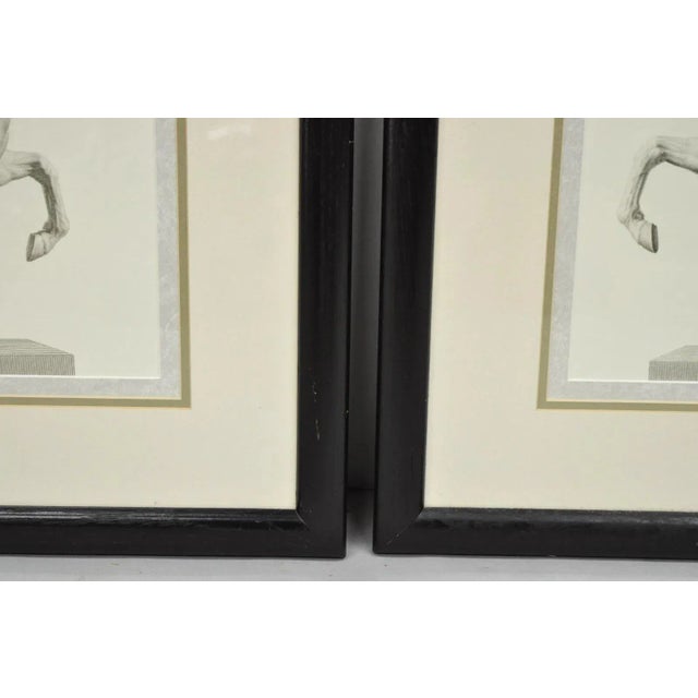 Late 20th Century Vintage Regal Horse Sketch Equestrian Print Framed Art Wall Decor, Set of 2 For Sale - Image 12 of 12