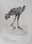 Caesar, Hen on the Move, 1980, Lithograph For Sale - Image 9 of 9