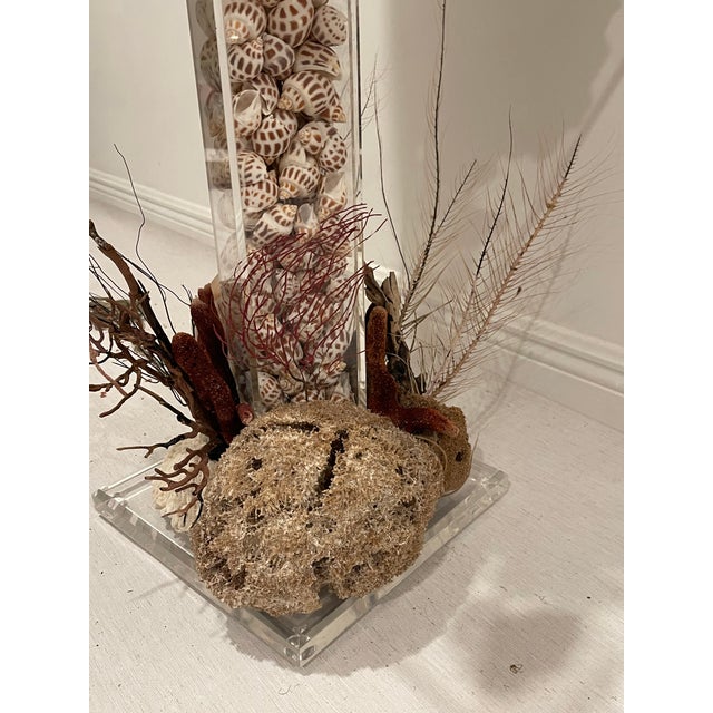 Unique organic sea world sea shell lucite floor lamp with sea shells, barnacle clusters, different types of sponges, sea...