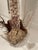 Unique organic sea world sea shell lucite floor lamp with sea shells, barnacle clusters, different types of sponges, sea...