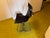Metal Topos Chair by the Dam Group for Busnelli, 1970 For Sale - Image 7 of 11