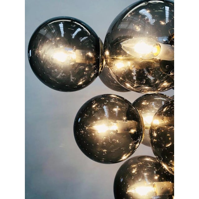 Brown 21st Century Italian Grappolo Polished Brass Smoky Bubbles Murano Glass Chandelier by Fabio LTD For Sale - Image 8 of 8